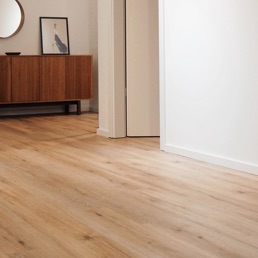wood floor sanding services
